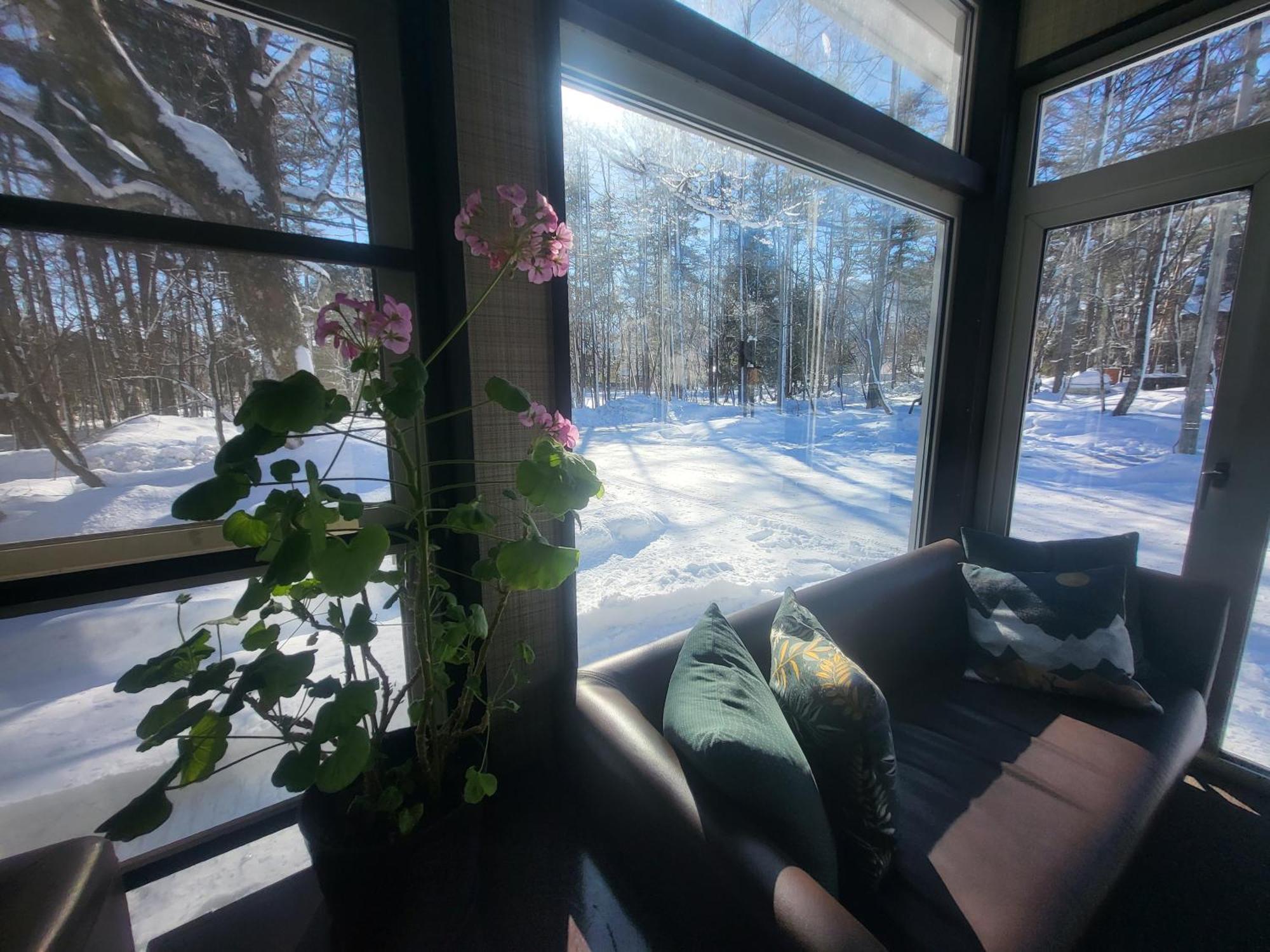 Hakuba Powder Lodge Esterno foto